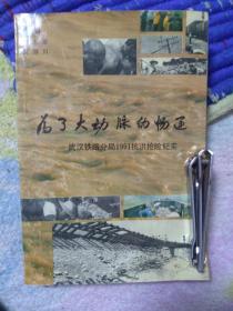 为了大动脉的畅通  武汉铁路分局1991抗洪抢险纪实