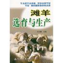 养羊技术书籍 滩羊选育与生产