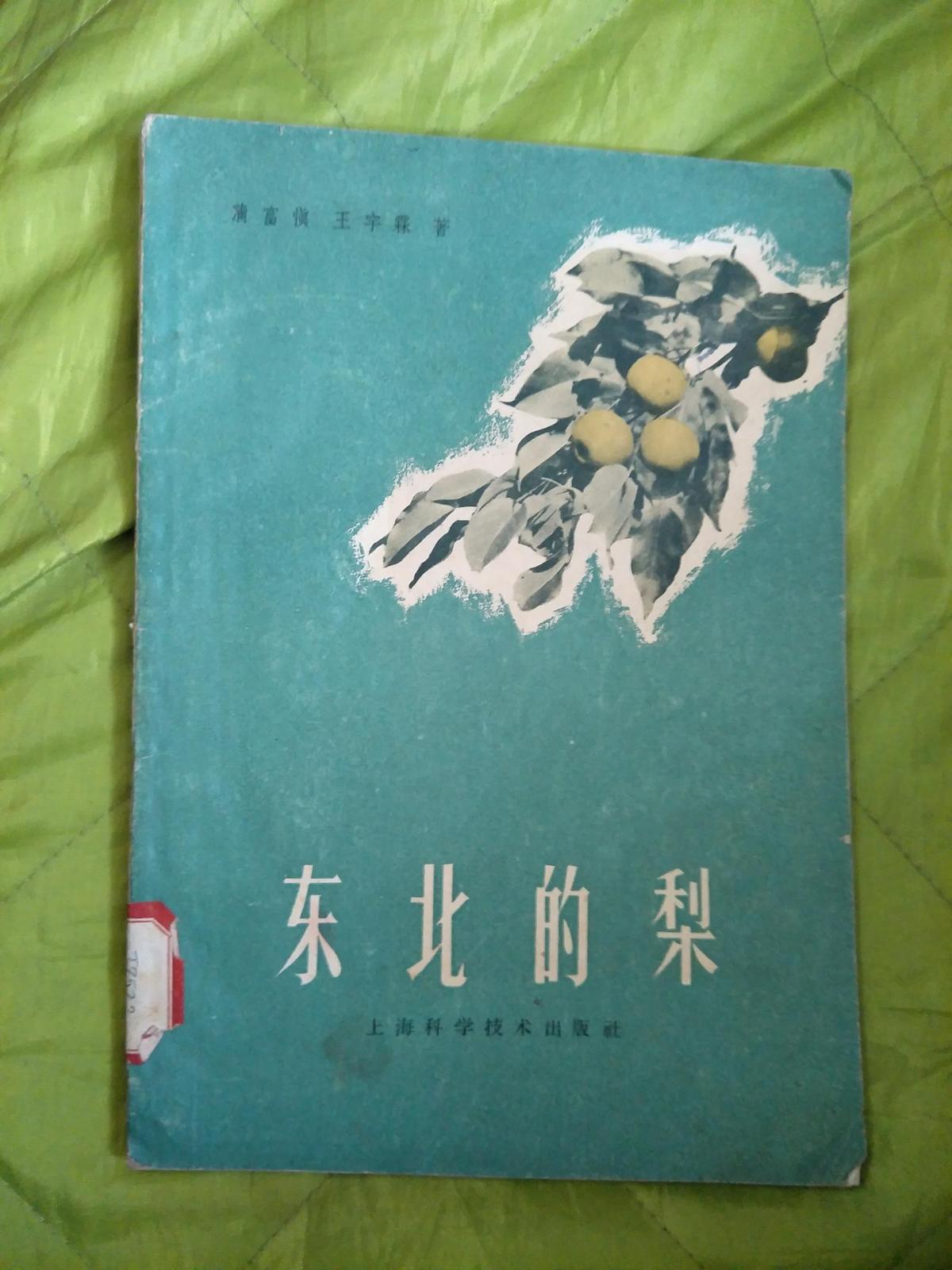 东北的梨