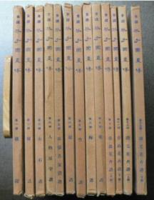 全译芥子园画传 13函13册全