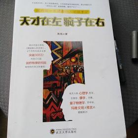 天才在左 疯子在右：国内第一本精神病人访谈手记