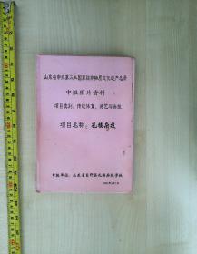 山东省申报第三批国家级非物质文化遗产名录申报图片资料·孔楼杂技