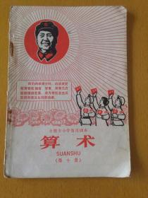 合肥市小学暂用课本 算术（第十册）品好