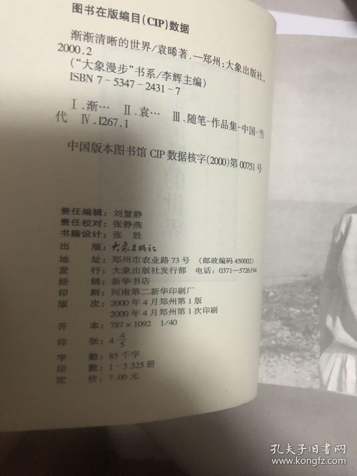 大象漫步书系——渐渐清晰的世界