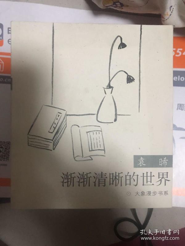 大象漫步书系——渐渐清晰的世界