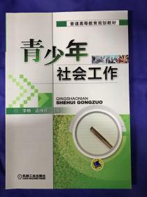 青少年社会工作/普通高等教育规划教材