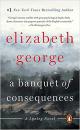 英文原版小说 A Banquet of Consequences: A Lynley Novel Paperback – May 17, 2016 by Elizabeth George