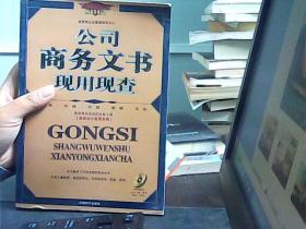 公司商务文书现用现查（含碟）