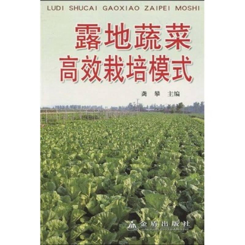 露地蔬菜高效栽培模式