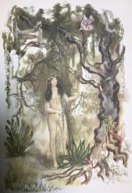 绿色大厦——热带森林中的浪漫史     20世纪阿根廷画家奥拉西奥·巴特勒（Horacio Butler。1897-1983）彩色插图 布面精装 书脊、封面烫金图案 超大开本