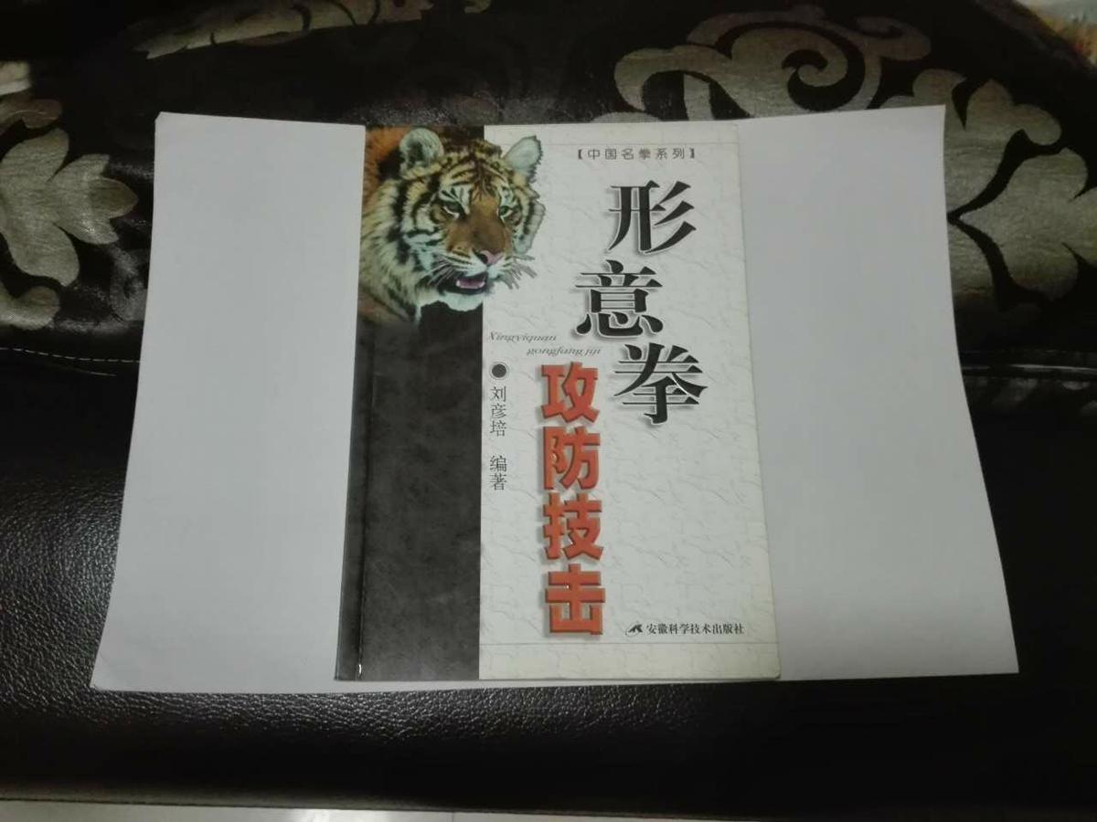 形意拳攻防技擊