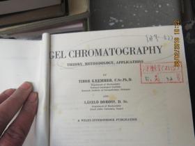 gel chromatography theory methodolgy applications 2818凝胶色谱：理论，方法学、应用（英文书）