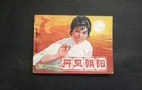 丹凤朝阳（陈烨）