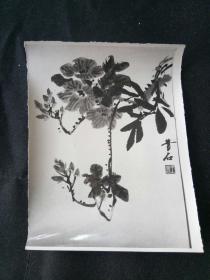 著名画家的山水国画实物照片 早年拍摄 为辨伪原始资料 此为原照非翻拍