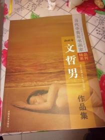 文哲男作品集【当代中青年书画家精品系列】