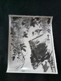名家山水国画早年实物照片 为辨伪原始资料