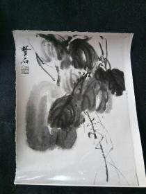 名画家的国画实物照片 为辨伪原始资料