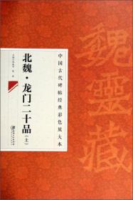 中国古代碑帖经典彩色放大本：北魏·龙门二十品（上）