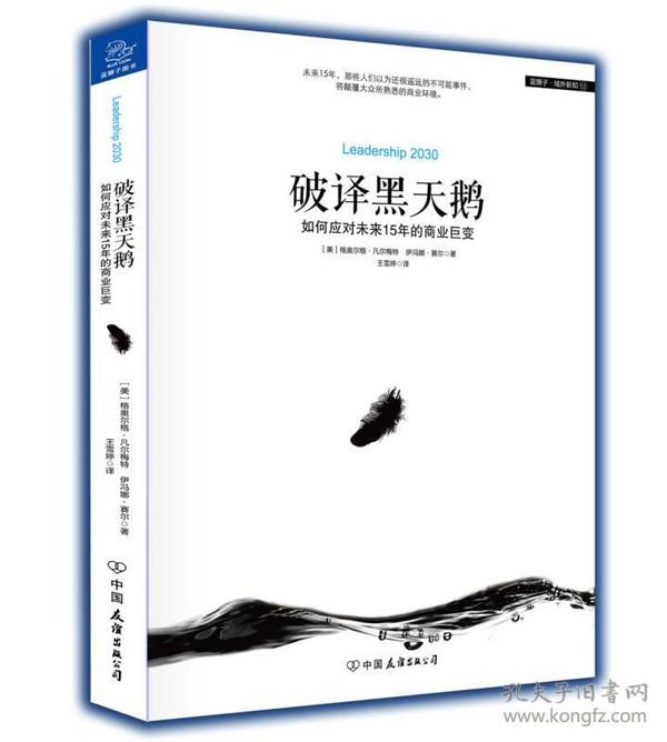 破译黑天鹅：如何应对未来15年的商业巨变