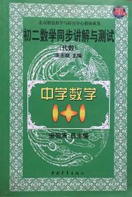 初二数学同步讲解与测试（代数）