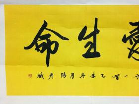 中国硬笔书法协会会员、河北省书法家协会会员、河北省美术家协会会员、河北省硬笔书法协会理事、 张彦斌 第四届全国安全书画展 入展魏碑作品 汪国真诗“热爱生命”