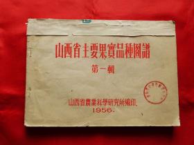 山西省主要果实品种图谱·第一辑（1956年印，16开）