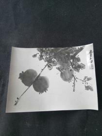 画家梦石 山水国画实物照片 重要资料