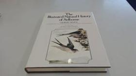 1981年版The Illustrated Natural History of Selborne