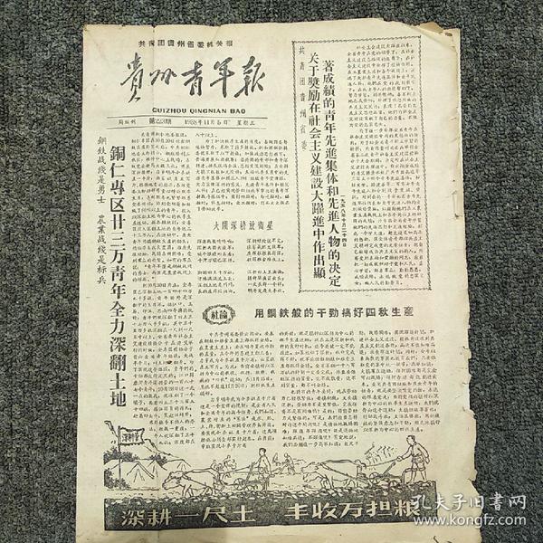 《贵州青年报》1958年11月5日  第223期