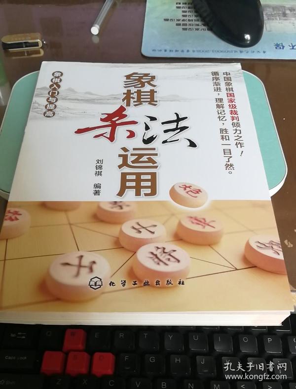 象棋入门与提高：象棋杀法运用