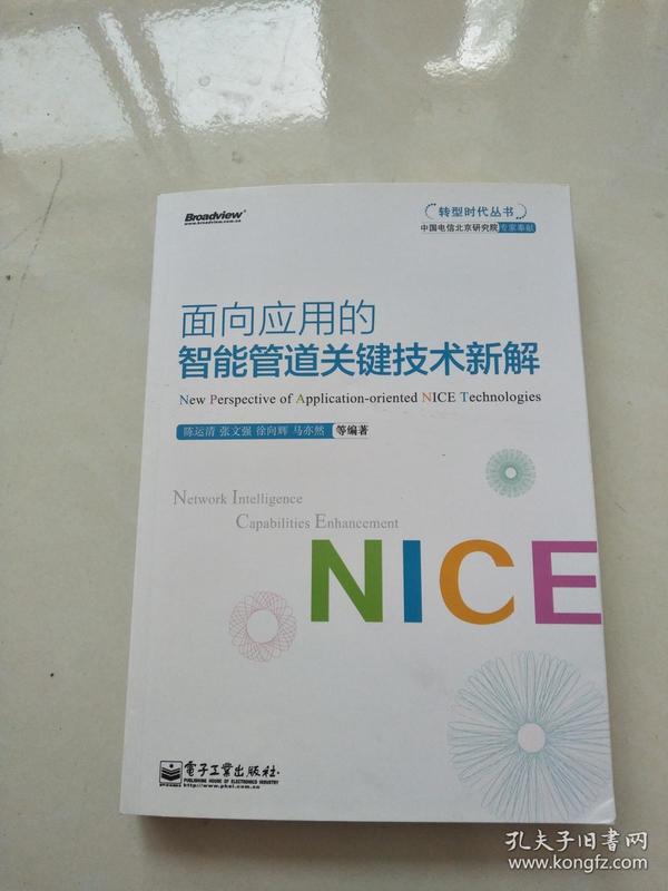 转型时代丛书：面向应用的智能管道关键技术新解