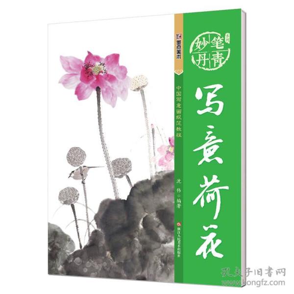 墨点字帖妙笔丹青写意荷花/美术国画入门水墨画技巧教材