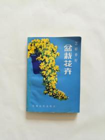 怎样养好盆栽花卉
