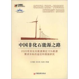 中国非化石能源之路：2020年非化石能源满足15%能源需求目标的途径和措施研究