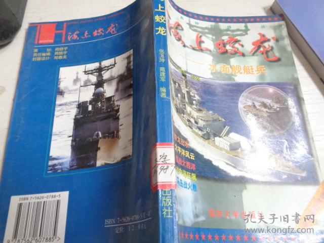 海上蛟龙:水面舰艇兵