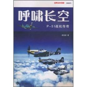 呼啸长空：P-51战机传奇