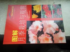 我家的美丽花园：图解月季栽培与观赏 包邮挂