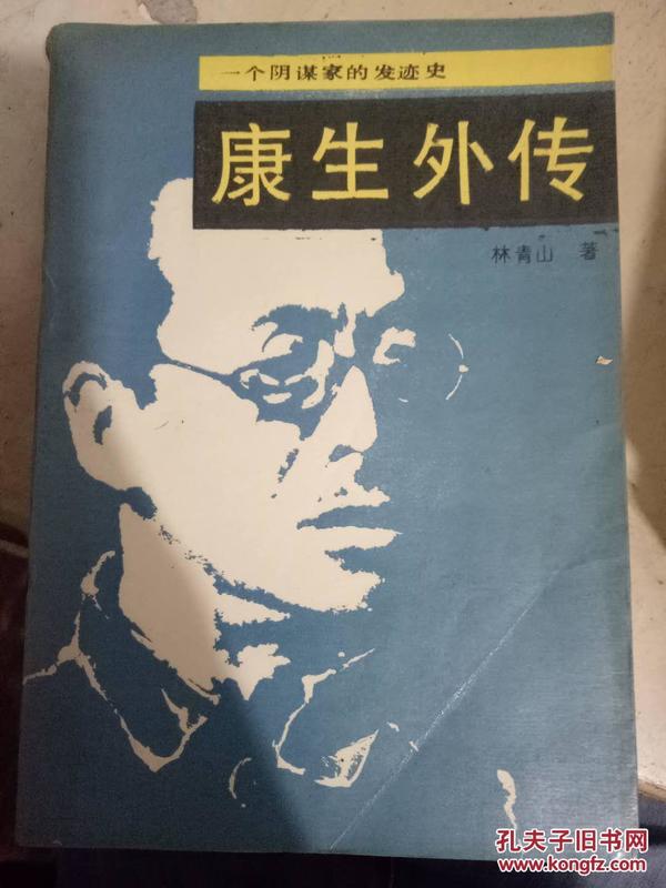 《一个阴谋家的发迹史 康生外传》