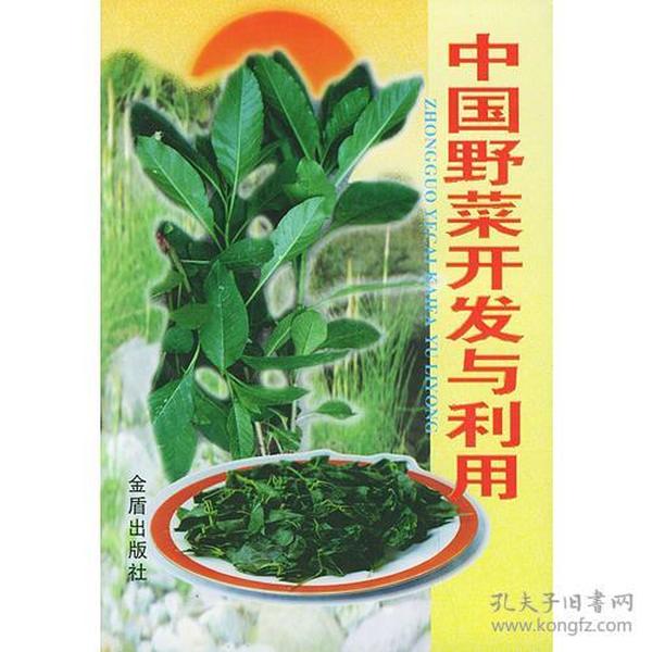 中国野菜开发与利用