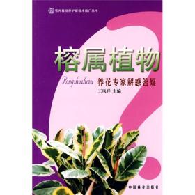 榕属植物：养花专家解惑答疑