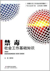 禁毒社会工作培训系列教材:禁毒社会工作基础知识