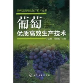 果树优质高效生产技术丛书：葡萄优质高效生产技术