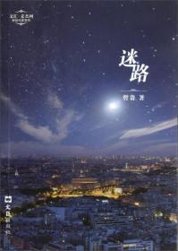 文汇麦杰珂新锐作家系列：迷路