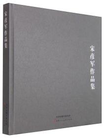 宋彦军作品集