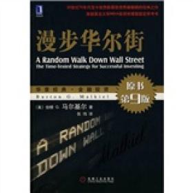 漫步华尔街：A Random Walk Down Wall Street