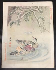 《鸳鸯戏水》1件，日本老旧木版版画，应举聚美画谱第十，明治25年，1892年青木恒三郎印刷发行，版面精美，鸳鸯戏水于老松之下，色彩生鲜，层次感强，观感接近手画，可断为木版版画无疑，圆山应举为江户中后期著名画家，圆山派之祖。