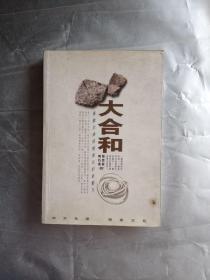 大合和：推动全球的倍速进化的新动力 （作者签名本）