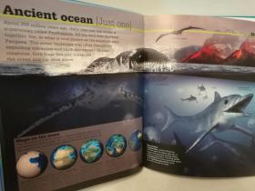 Ocean and Sea ：Dive into Earth's Most Spectacular Habitat （自然地理）英文原版书