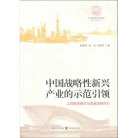 中国战略性新兴产业的示范引领：上海临港模式与发展战略研究