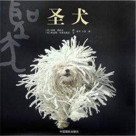 圣犬